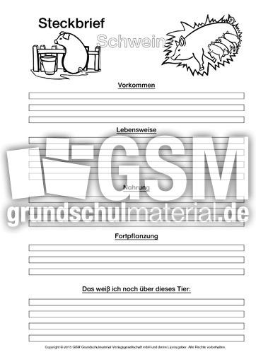 Schwein-Steckbriefvorlage-sw-3.pdf